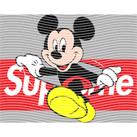 Brand Catalog-ZX 993